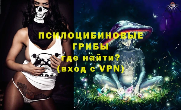 герыч Алексин