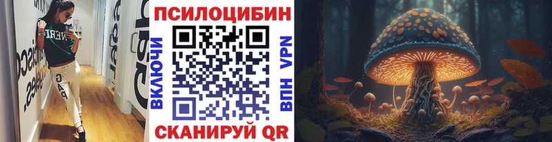 omg ONION  Чаплыгин  Псилоцибиновые грибы Psilocybe  наркошоп 
