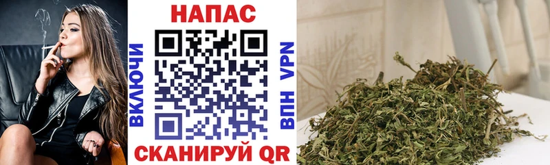 Бошки марихуана гибрид  Чаплыгин 